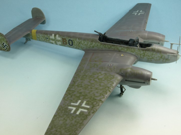 P9136877 - copia.JPG